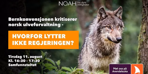 Ulvedebatt p\u00e5 Arendalsuka - Hvorfor lytter ikke regjeringen til Bern?