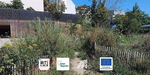 Schmetterlinge in den Garten holen + Nachbarschafts Festival