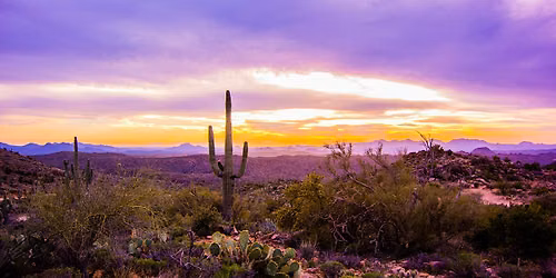 Desert Bloom Book Club: October Meeting