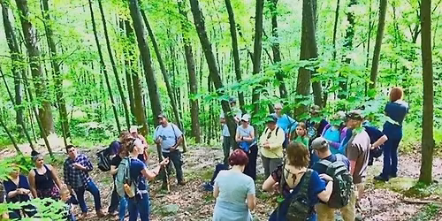 Edible and Medicinal Plant Walk