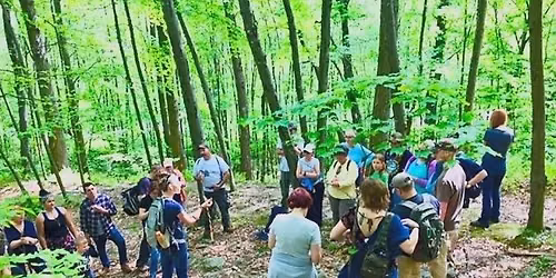 Edible and Medicinal Plant Walk