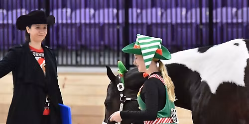 Tr\u00e6ningshow Jule-edition \ud83c\udf85\ud83c\udf84