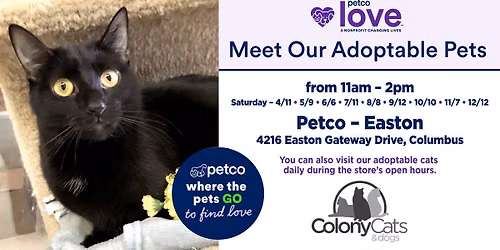 Adoption Event at Petco Easton Gateway