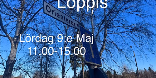 Loppis i Kovland 