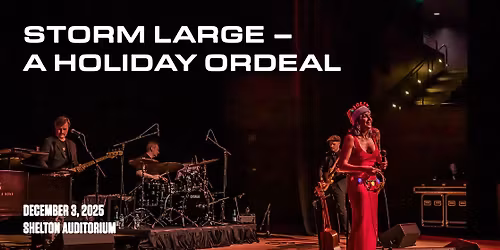 The Storm Large Holiday Ordeal