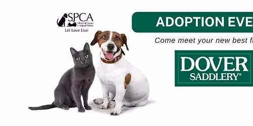 Adoptions at Dover Saddlery