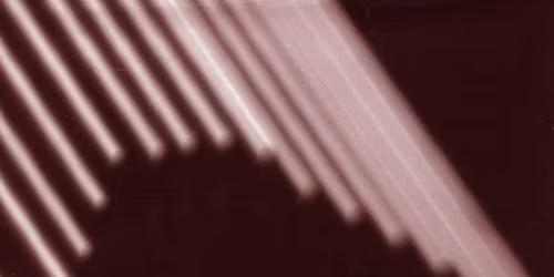 Vibes Live - Das Rind - R\u00fcsselsheim