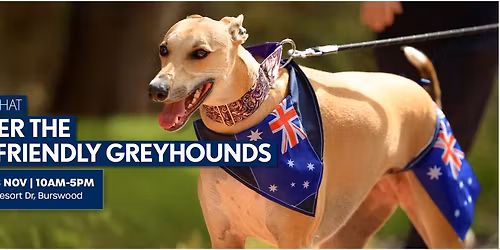 Pat + Chat at WA Day Festival