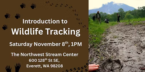 Introduction to Wildlife Tracking with Alderleaf Wilderness College