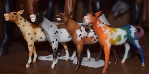 Hot to Trot Live model horse Show