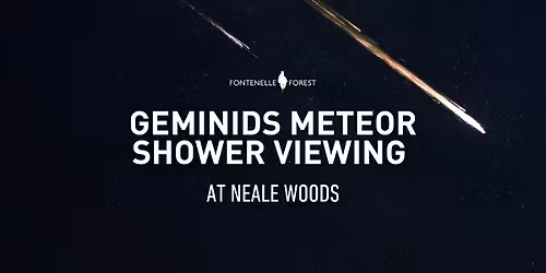 Geminids Meteor Shower Viewing