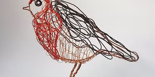 Drawing with Wire: Robins