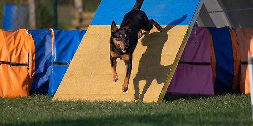 Jarn\u00e1 intenz\u00edvka s Ka\u010dkou Suchovskou v Lazanoch