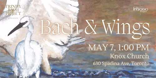 Bach & Wings
