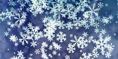 Wild Ways Winter\/ Christmas Woodland Activity Day