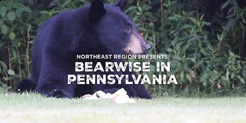 BearWise in Pennsylvania 