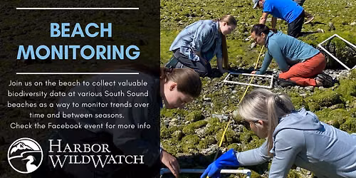 Beach Monitoring & Molt Search - Purdy Sand Spit (mid spit)