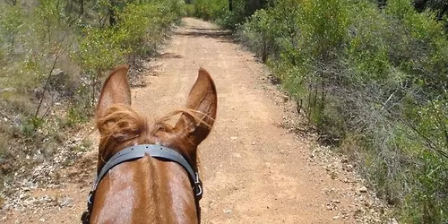 Tooraweenah Endurance Ride 2026