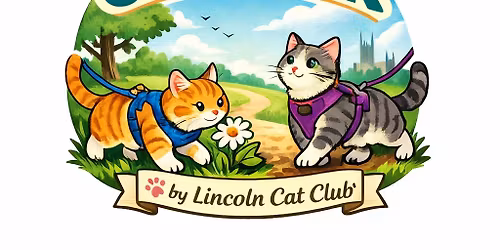 The Curious Cat Walk