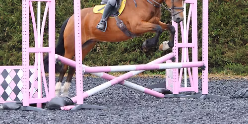 OPEN Showjumping Competition (DAY)