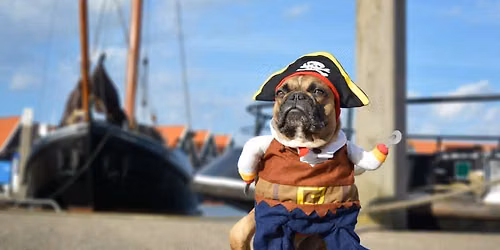 Walnut Beach Halloween Pet Costume Parade