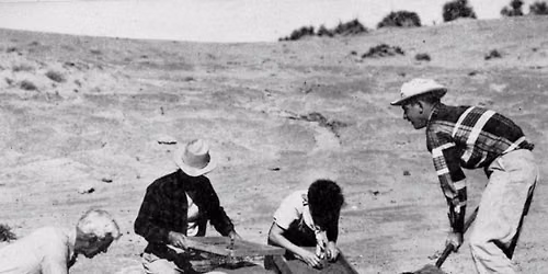 Brown Bag Lunch & Lecture Series: The Midland Discovery Story