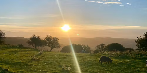 20k guided trail run for Versus Arthritis