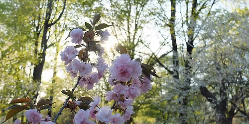Spring Along the Crossing
