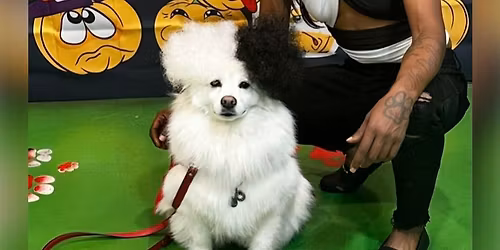 Costume Contest for Dogs VACCINATIONS REQUIRED