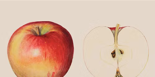 OAG\u2019s Spring Exhibition Celebration | F\u00eatons les expositions du printemps