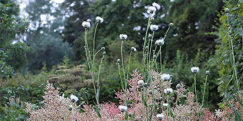 Garden Talk and Plant Sale