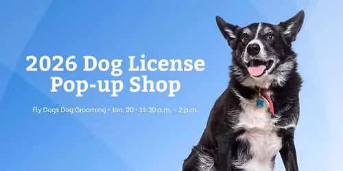 2026 Dog License Pop-up Shop