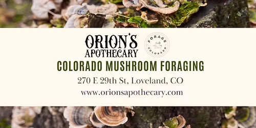 Colorado Mushroom Foraging with Orion Aon