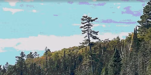 Stronger Together: Women's Backpacking Experience