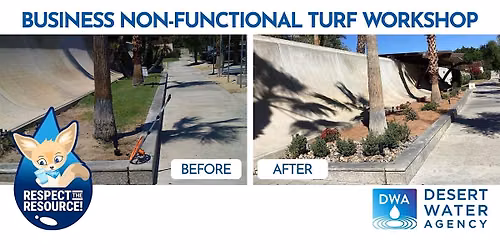 Business Non-Functional Turf Workshop