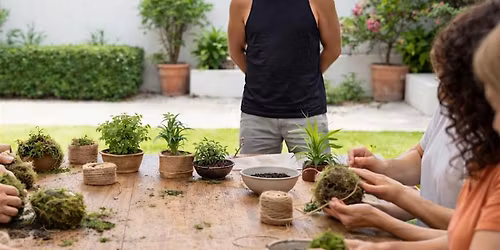 Whorkshop de Kokedamas em Lagos