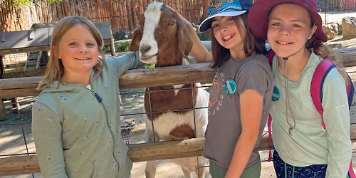 Zoo Summer Camps (ages 4 -12)