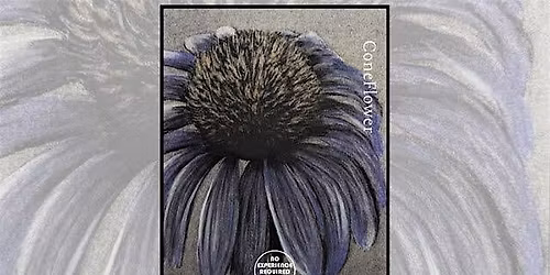 Fundraiser - Charcoal Drawing Event "Cone Flower" in Lyndon Station