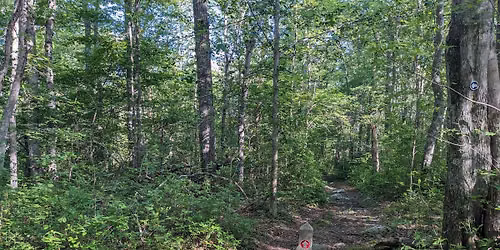 Social Hike: Herb Hadfield