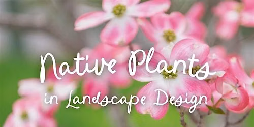 Native Plants in Landscape Design