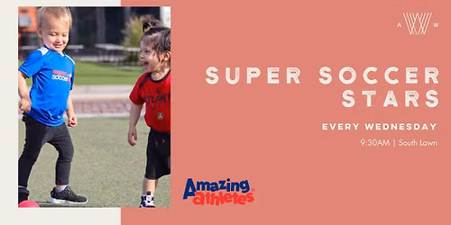Super Soccer Stars