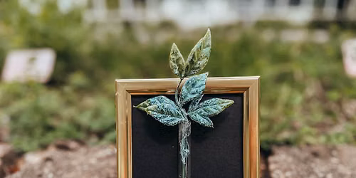 Fancy Plants Club: Mini Framed Flowers