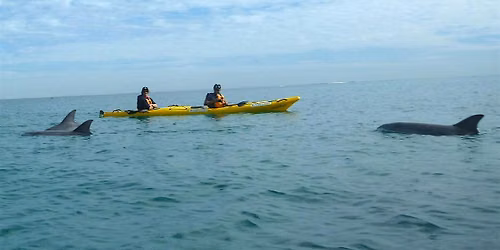 Shoalwater Island tour