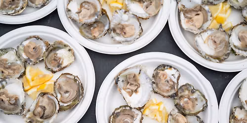 Falmouth Oyster Festival