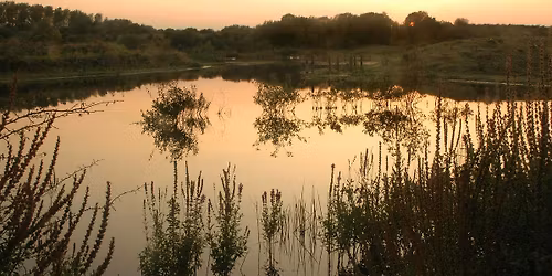 Dawn Chorus (with Breakfast) - College Lake, Saturday 25 April