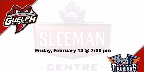Parking Guelph Storm at Flint Firebirds