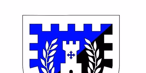 Shire of Silver Keep Regional Fighter Practice 