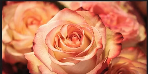 "Watered to Bloom"