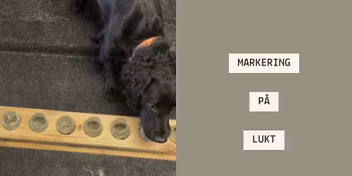 Trygg markering p\u00e5 lukt