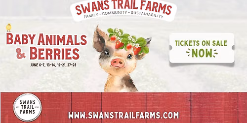 Baby Animals & Berries Festival